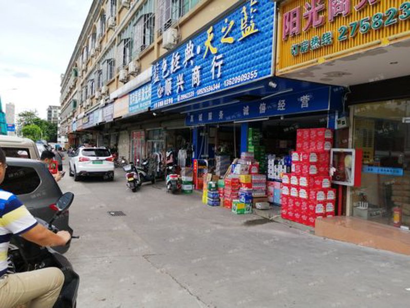 小香猪批发